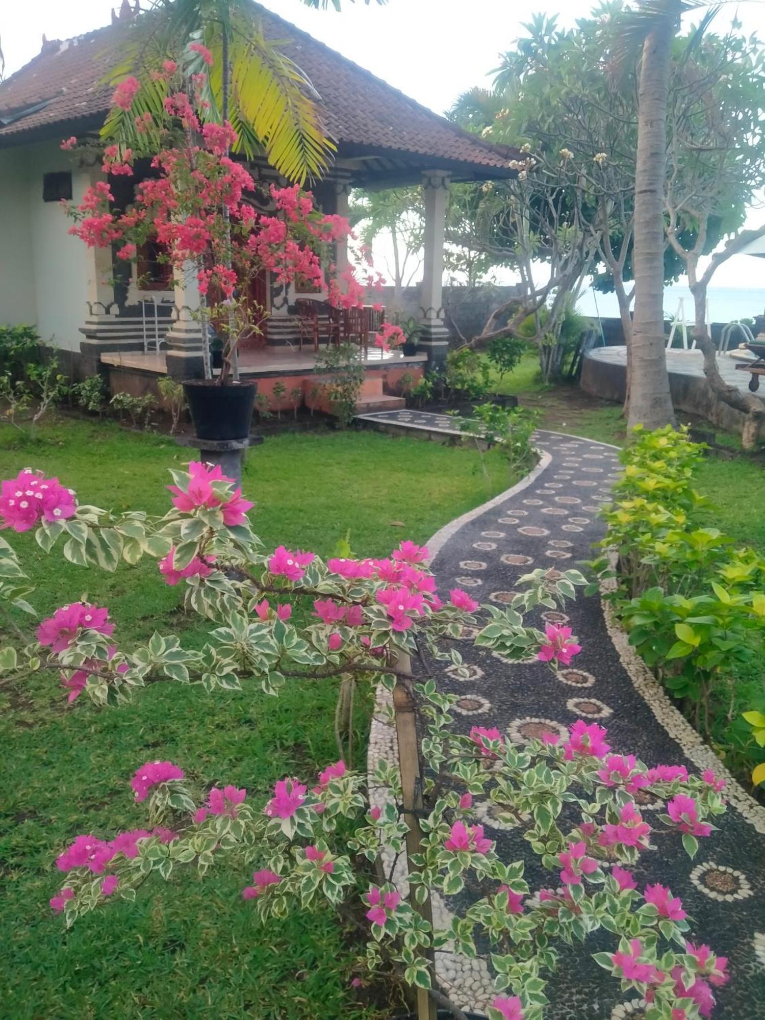 Coral Bay Bungalows Amed Rom bilde